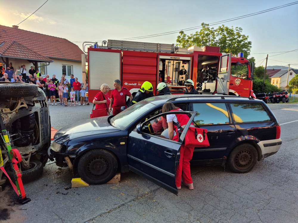 Profesionalno djelovanje vatrogasaca